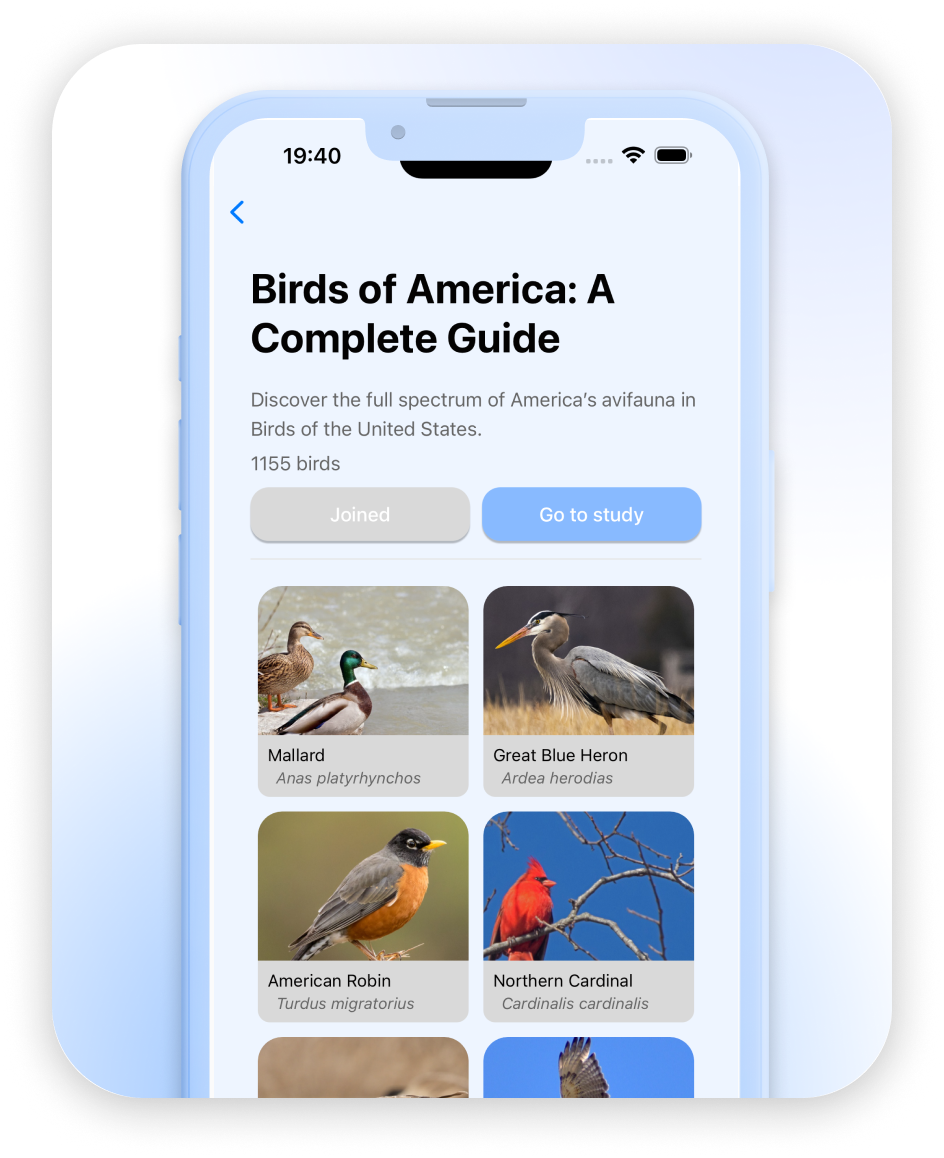 Curated Photo Library